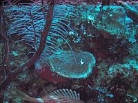 IMG 4899