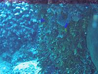 IMG 4901