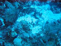 IMG 4923