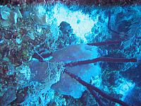 IMG 4925