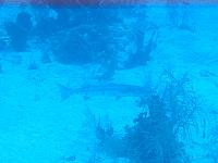 IMG 4926
