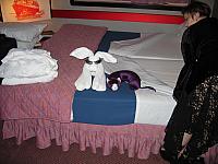 IMG 1092