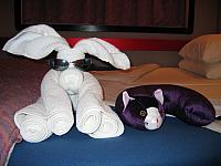 IMG 1093