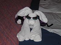 IMG 1103