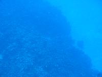 IMG 1104