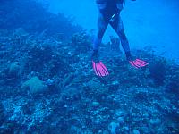 IMG 1106