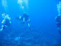IMG 1110