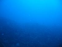 IMG 1112
