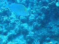 IMG 1137