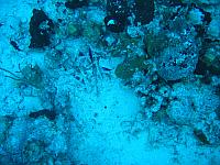 IMG 1148
