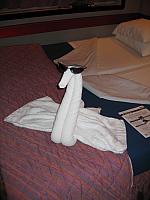 IMG 1154