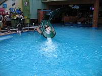 IMG 1167