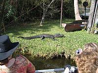 IMG 1220