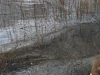 IMG 1234