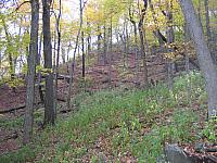 IMG 2732