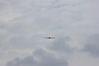 IMG 0209