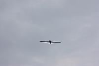 IMG 0210