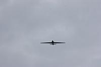 IMG 0211