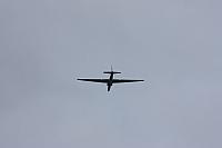 IMG 0217