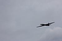 IMG 0222