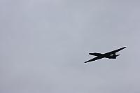IMG 0223