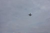 IMG 0225