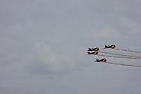 IMG 0231