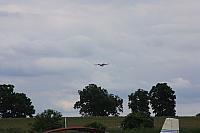 IMG 0242