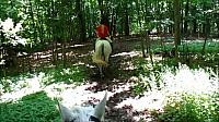 Espi woods 1