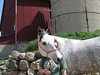IMG 3078
