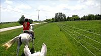 cantering