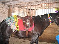 IMG 2658