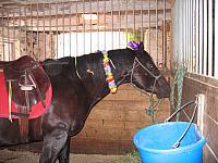 IMG 2659