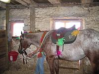IMG 2662