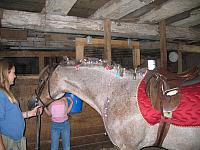 IMG 2664