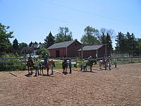 IMG 2674