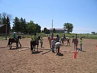 IMG 2681