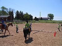 IMG 2682