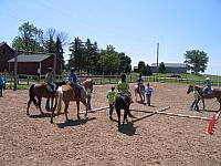 IMG 2683