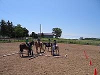 IMG 2685