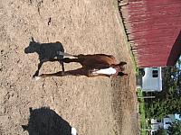 IMG 2693