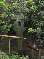 IMG 3099