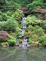 IMG 3100