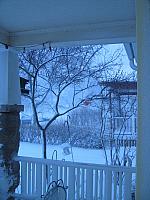IMG 3951