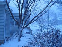IMG 3952
