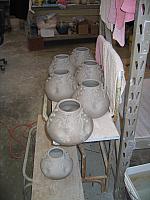 IMG 2974