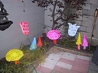 IMG 2120