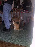 IMG 2228