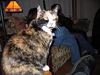 IMG 2872