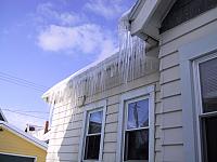 img 1321